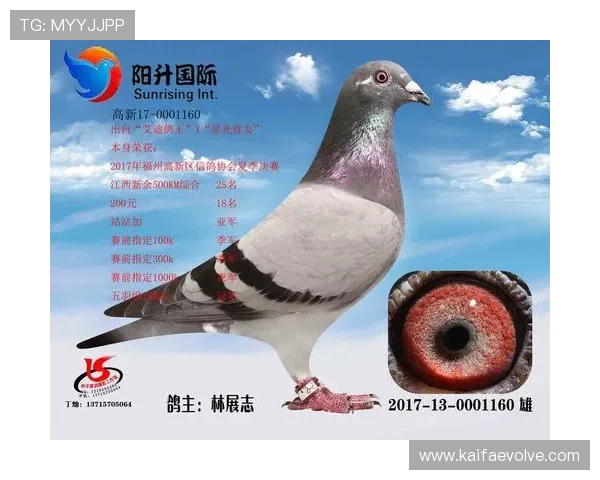 AG国际的优惠活动详解，如何最大化利用优惠提升你的盈利空间